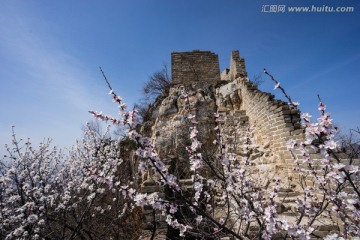 箭扣长城花季 蓝天白云 烽火台