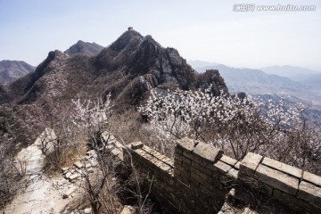 箭扣长城花季 逆光 蓝天白云