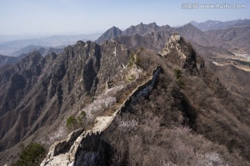 箭扣长城花季