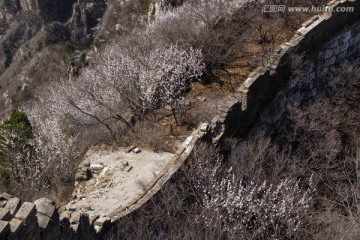 箭扣长城花季 城墙