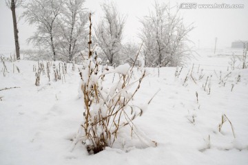 雪