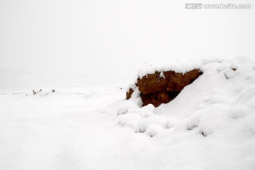 雪原