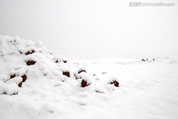 雪