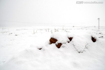 雪原