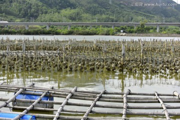 小漠镇水产养殖场