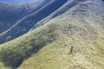 高山草甸