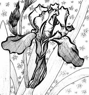 抽象花卉 分層
