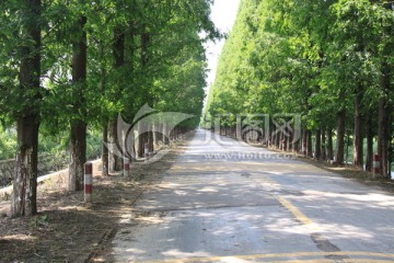 村镇道路