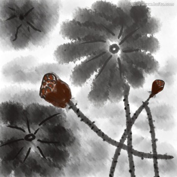 水墨殘荷