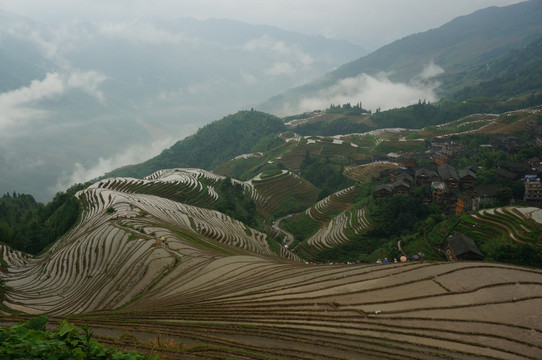 龙胜梯田