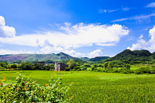 田园风光