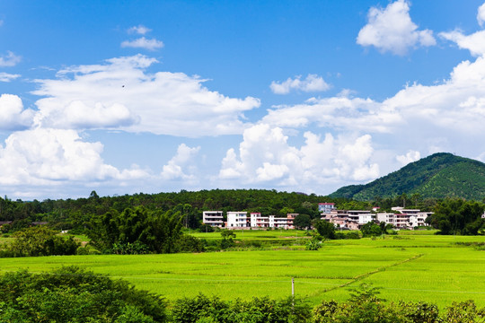 田园风光