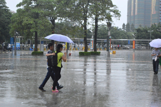 雨中行人