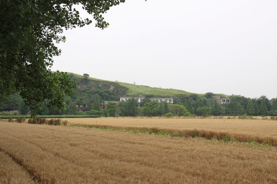 环巢湖 双山村