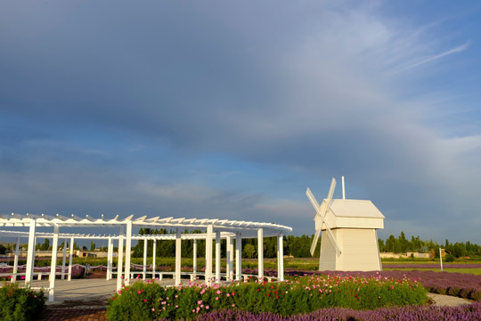公園