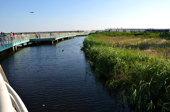 湿地 湖泊