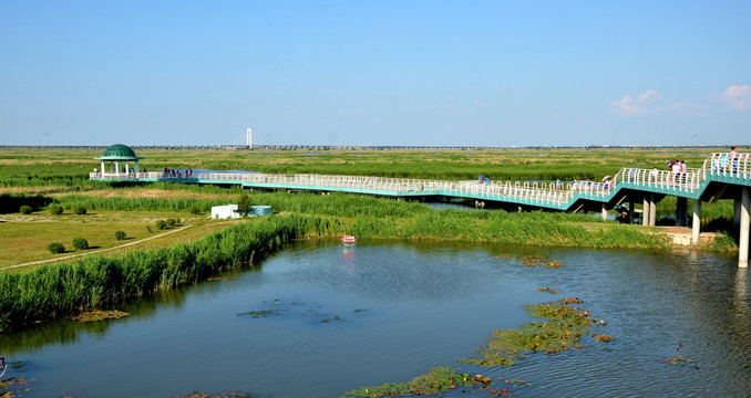 湿地公园