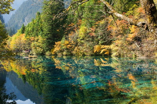 九寨沟风光