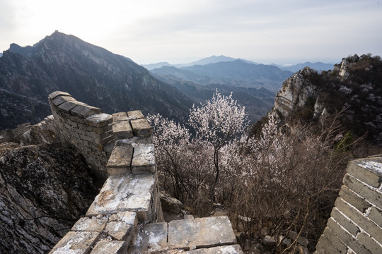 箭扣长城花季 逆光