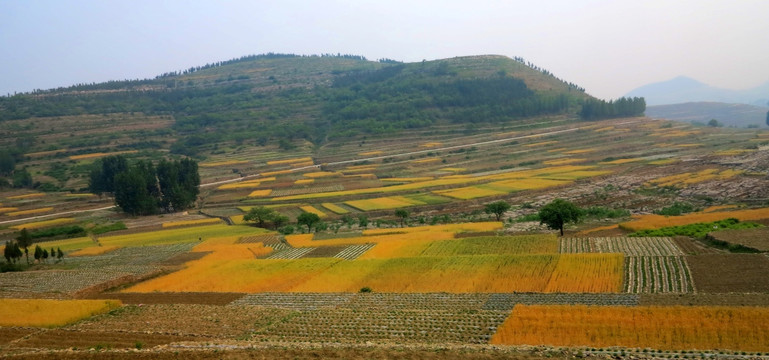 田地 田园 田野