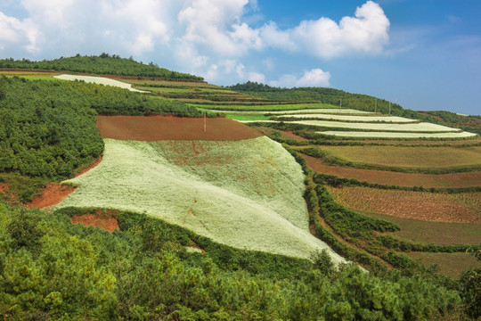 云南东川红土地风光