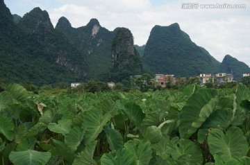 高田风光