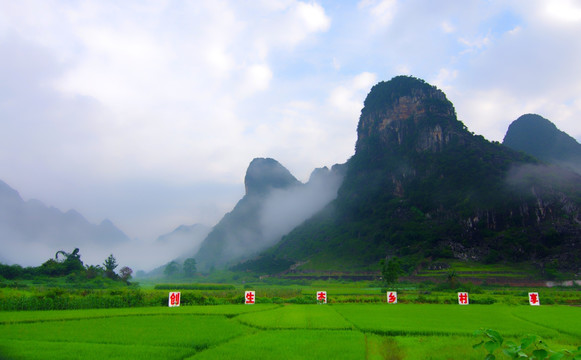 朦胧风景 生态乡村