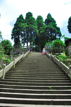 上山的台阶