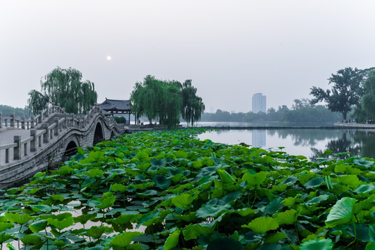 明湖小景