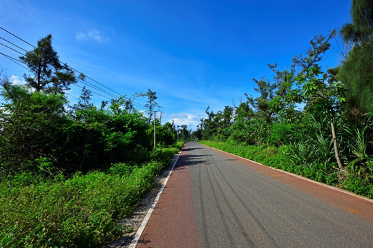 环岛路