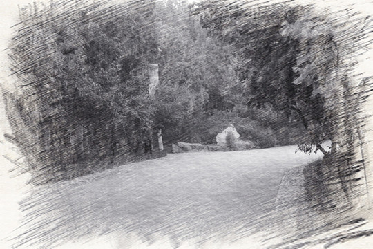 上山林蔭路
