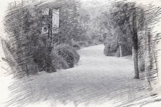 上山林蔭路