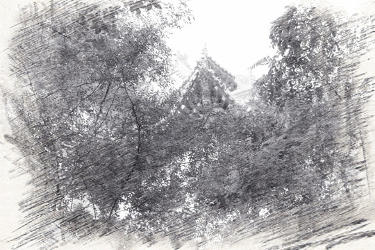仰望興國禪寺