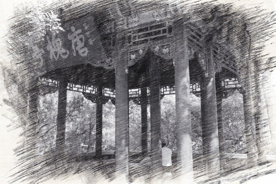 千佛山素描之唐槐亭