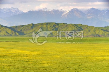 伊犁大草原