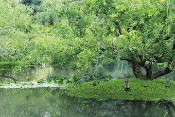 西湖湿地