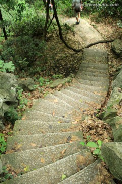 蜿蜒石板路