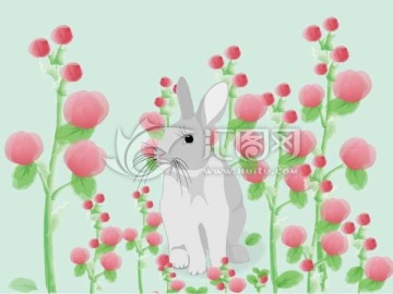 花丛兔子