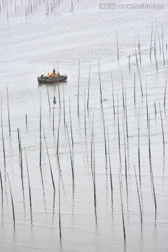 滩涂湿地