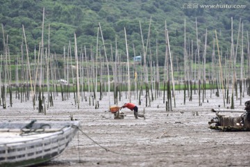 赶小海