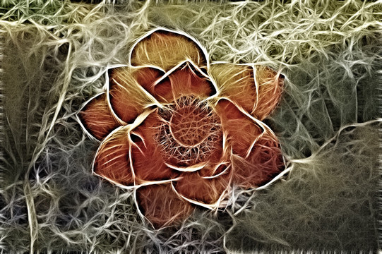 花朵 花卉 裝飾畫 無框畫