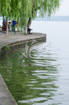 西湖柳岸