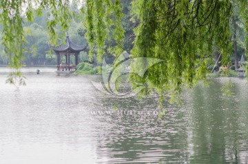 浙大华家池风光