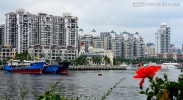 蛇口南海玫瑰园