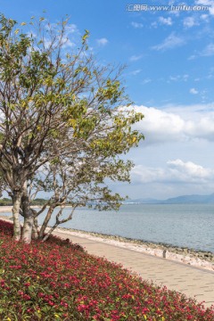 深圳灣公園