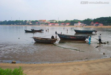 海边晨景