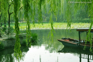 圆明园风景