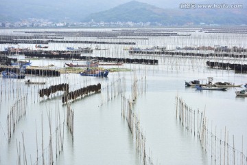 滩涂养殖场