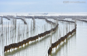 海上牧场