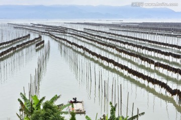 海上养殖场